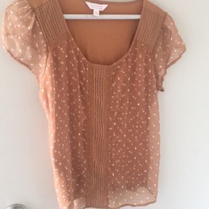 Lauren Conrad - Lace Polka dot blouse